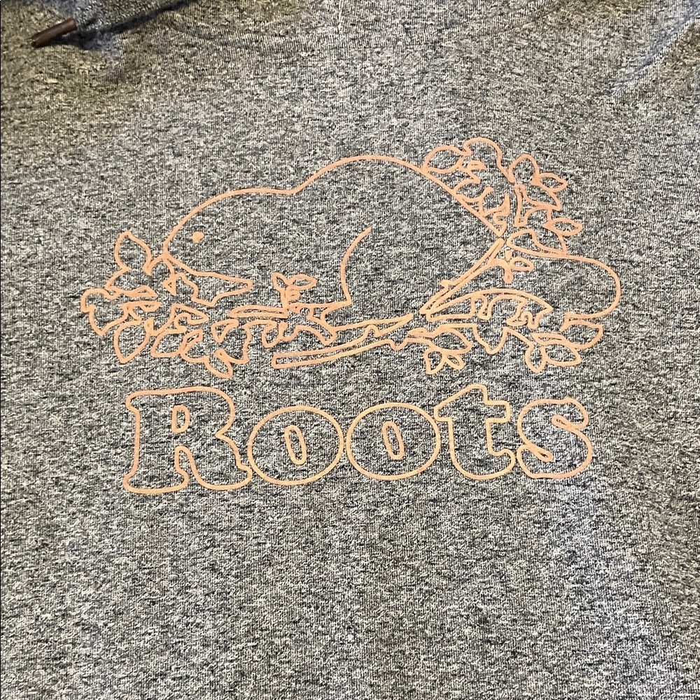Roots Heather Gray Hooded Sweater for Women xsmall - Picture 4 of 11